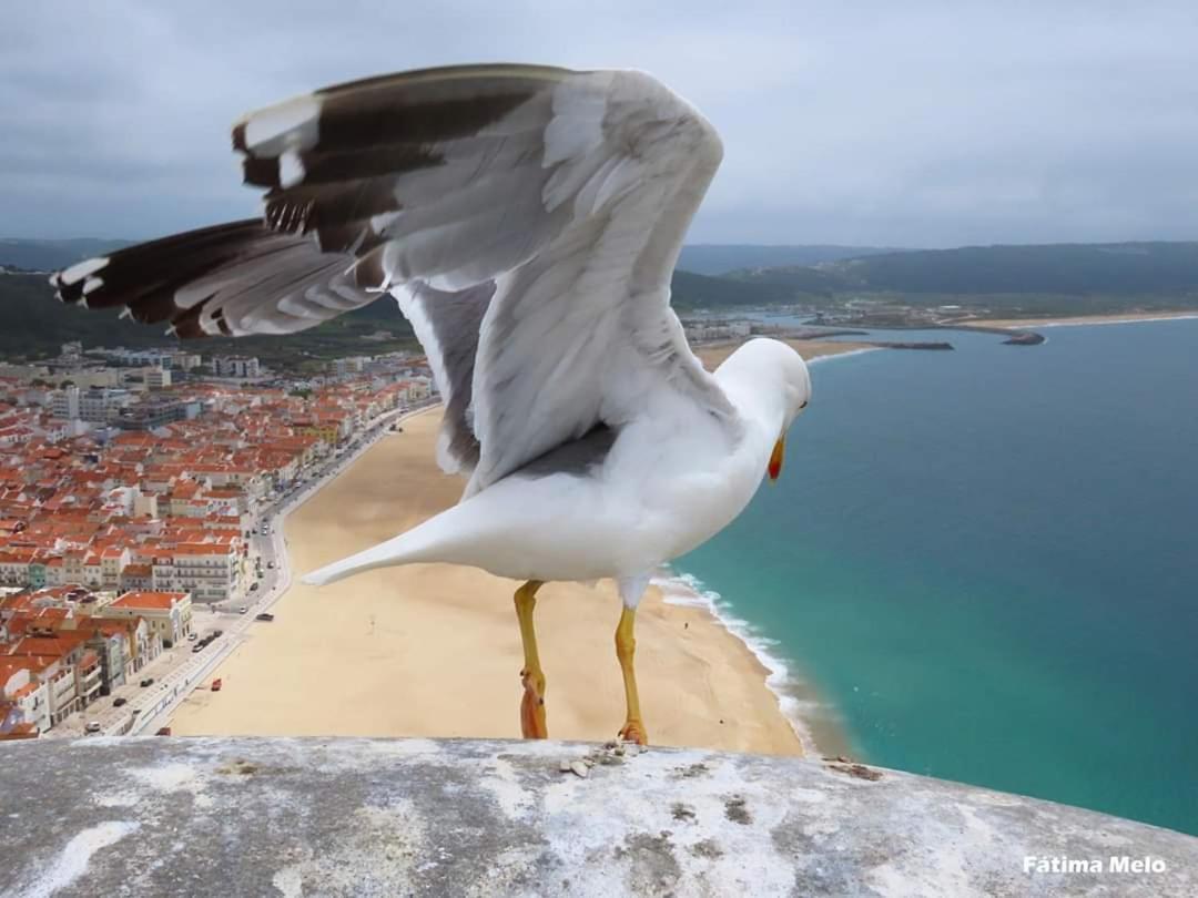 Vila Lucas House Nazaré Exteriér fotografie